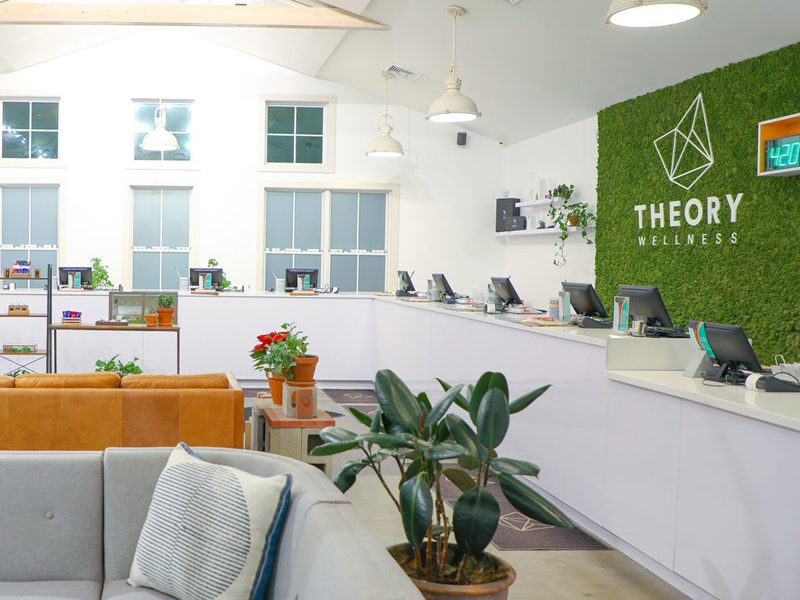 Theory Wellness Store Interior | Theory Wellness