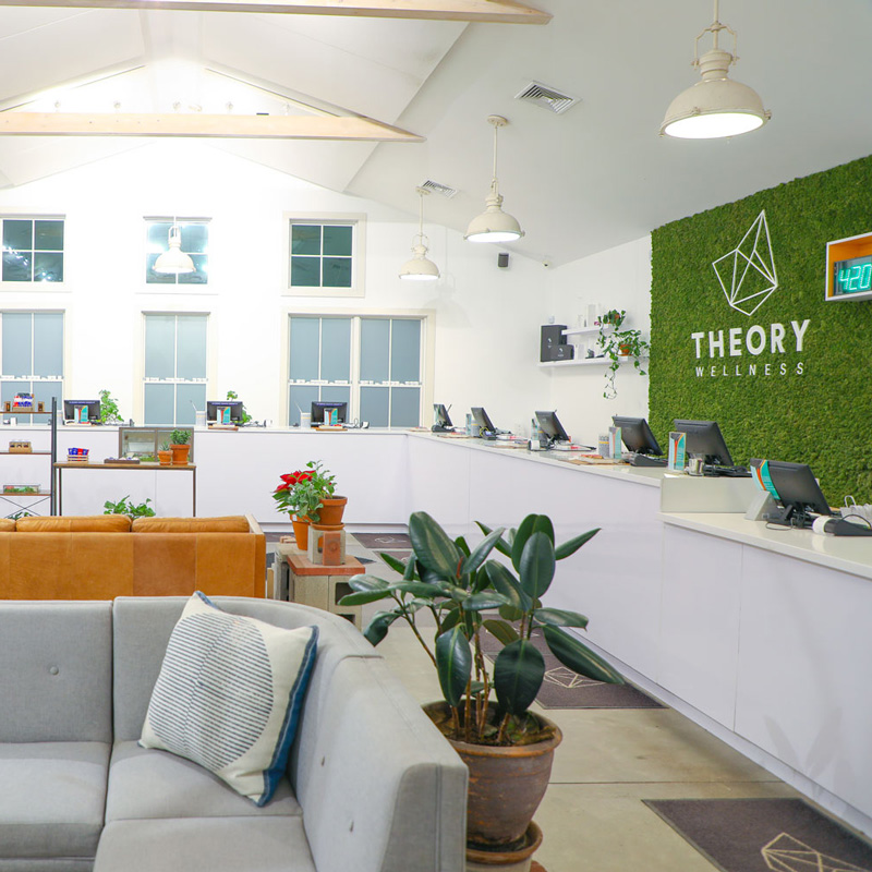 Theory Wellness Store Interior | Theory Wellness