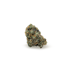 Blueberry Headband Strain