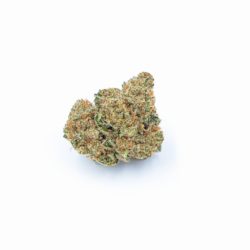 Frank's Gift x Herijuana #4