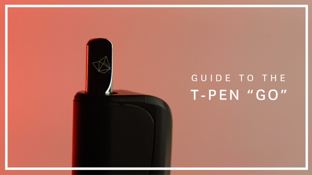 Theory Wellness Guide to the T-Pen GO