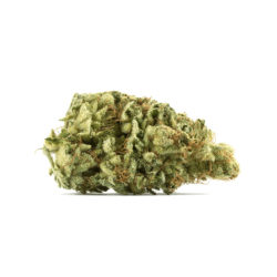 Citrus Sap Strain