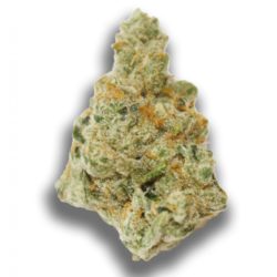 Golden Triangle Strain