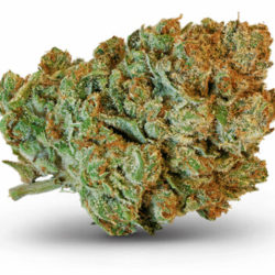 Joystick Strain