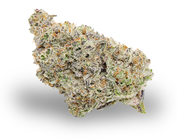 Theory-Flower-MAC-1.jpg