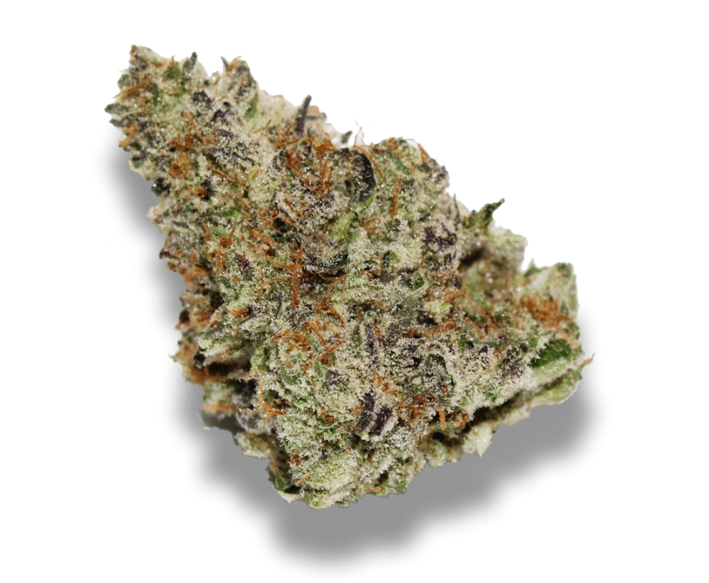Theory-Flower-Mendo-Breath-1.jpg