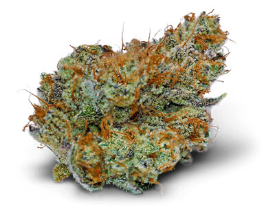 Theory-Flower-Peyote-Purple-1.jpg