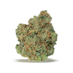 Star 91 Strain