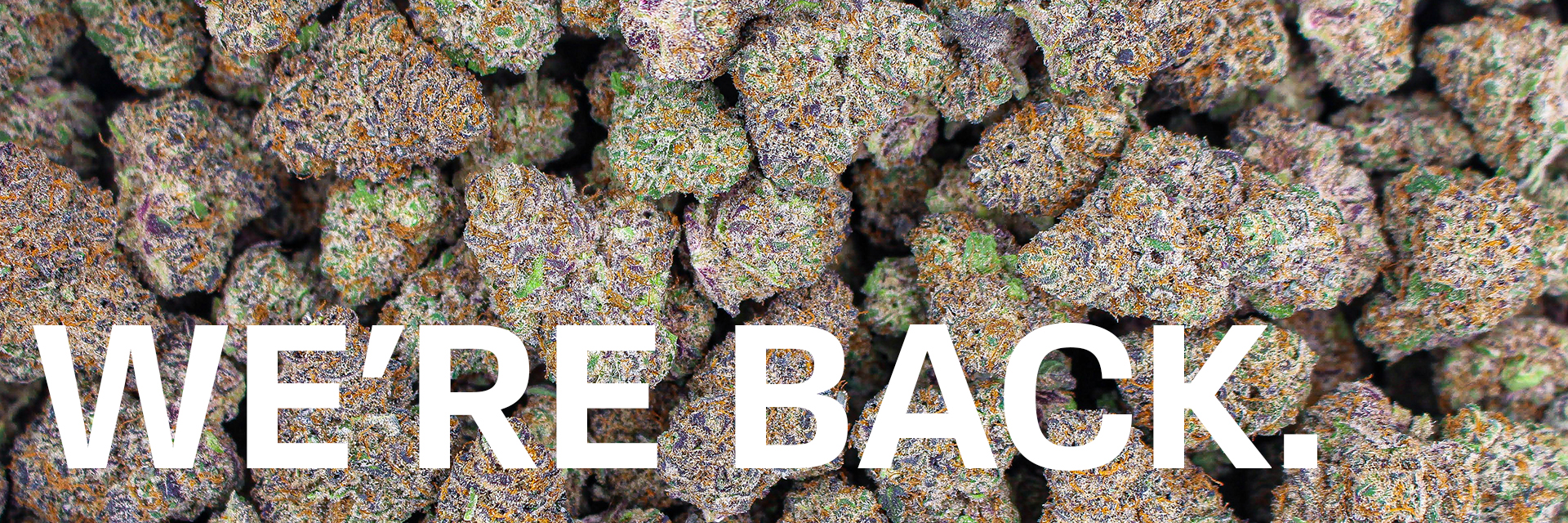 Website Header2
