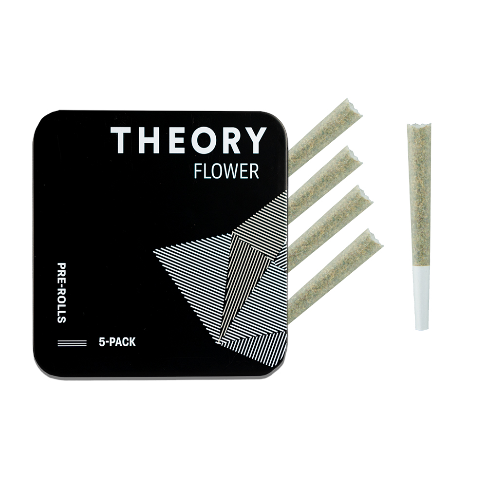 theory-5pack-preroll-1.jpg