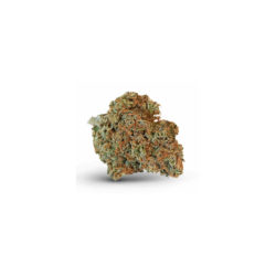 AC/DC Strain