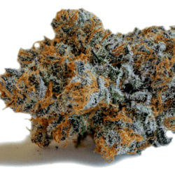 CBD Punch Strain