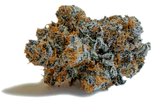 theory-flower-cbdpunch-1.jpg