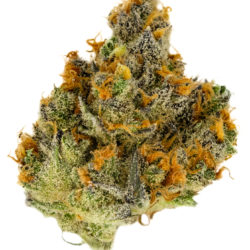 Pennywise Strain