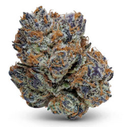 Samoas Strain