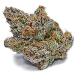 Soulmate Strain