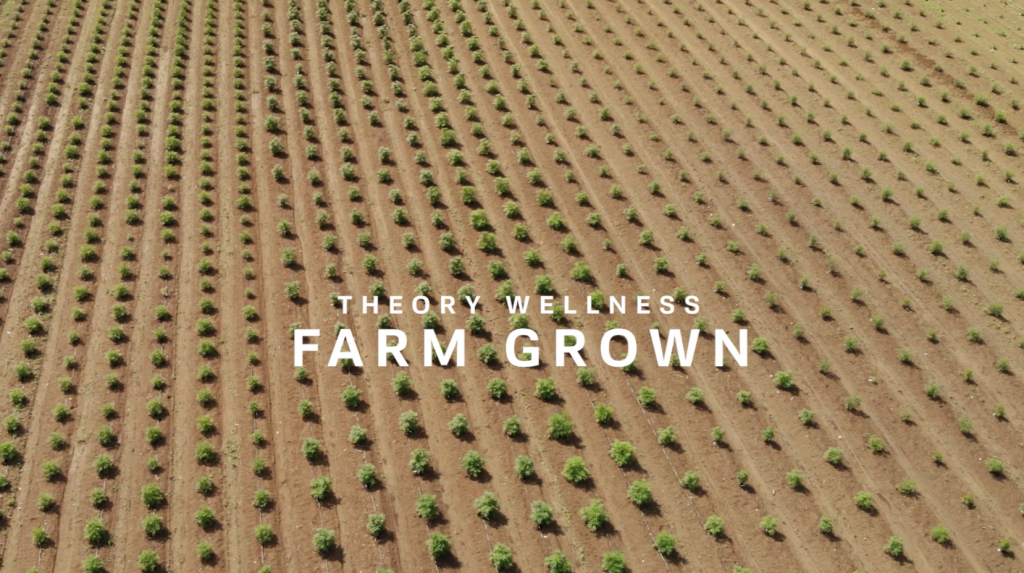 Farm Grown at Theory Wellness