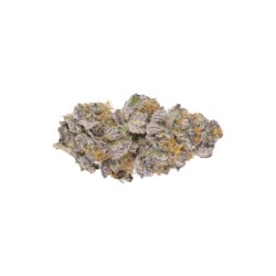 Citrus Farmer Strain
