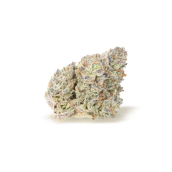 White Dawg Strain