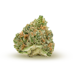 Banana Puddintain Strain