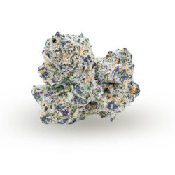 Biscotti x Mai Tai Strain