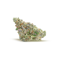Ghost Cookies Strain