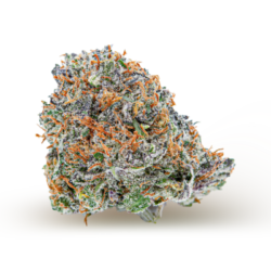 Mint Chocolate Chip x Grease Monkey Strain