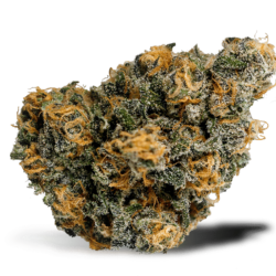 Blue Dream Strain