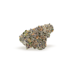 Gelato 41 x Maitai Strain