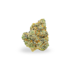 Kongo Strain