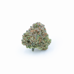 Member Berry Strain