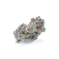 ThinMint x Platinum Cookies x Blueberry Syrup Strain