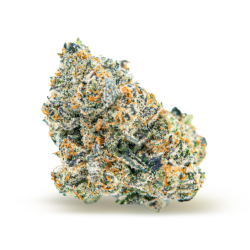 Granny Smith Strain