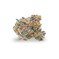 Gummy Buns Strain