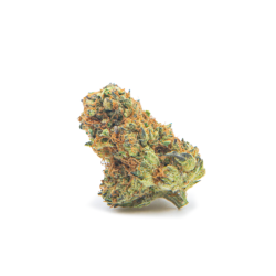 Cherry Gar-See-Ya Strain