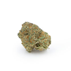 Orangeade Strain