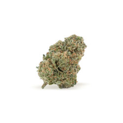 Crescendo Temple Strain
