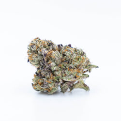 Swamp Thing Strain