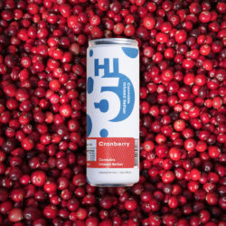 Hi5 Cannabis Infused Seltzer - Cranberry