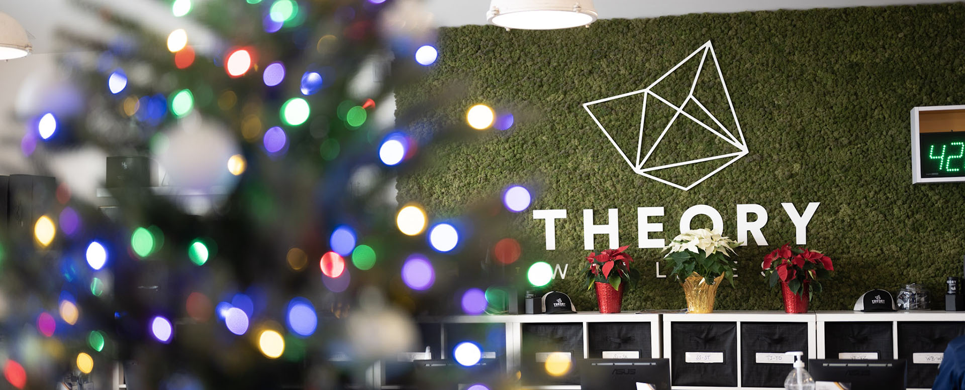 Theory Wellness Holiday Deals
