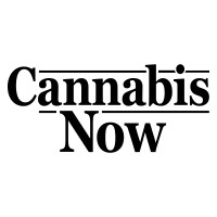 cannabis-now-logo