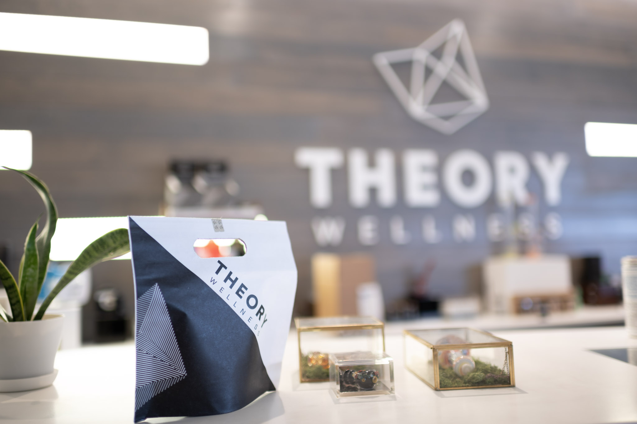 theory wellness counter with products