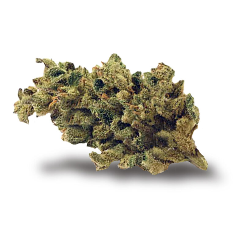 fog-dog-strain-cannabis-dispensary-theory-wellness